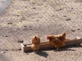 mens-retreat-2013-048