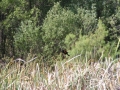 mens-retreat-2013-082