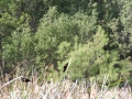 mens-retreat-2013-083
