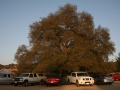 mens-retreat-2013-092