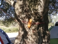 mens-retreat-2013-116