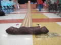 pinewood-derby-2013-06