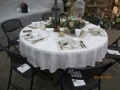 womens-spring-tea-2017-16